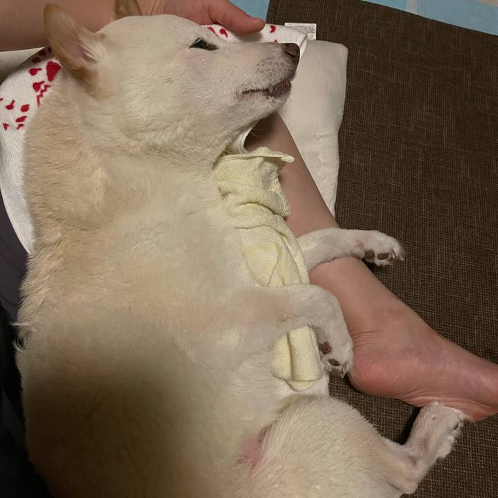 931c13ad 6f5c 44b8 9b96 6fcca99aa12d 1665942036854