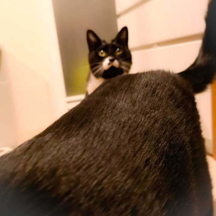 931c2317 9f41 4e6c 8230 f8b31d7aff50 1543600736293