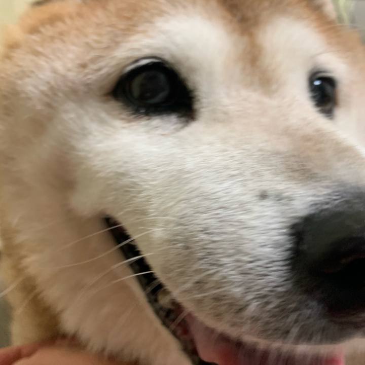 931c72bf edc4 4067 a0d7 2913c742ee62 1599318438966