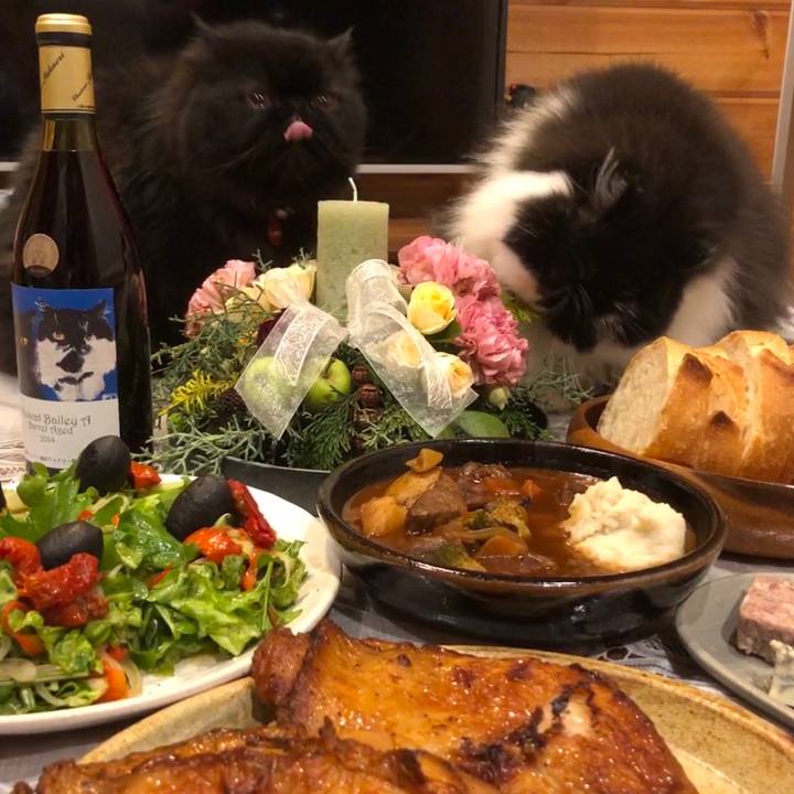 931c8b92 ac35 4bfc 9e8a a38bcce1bb93 1545652695972