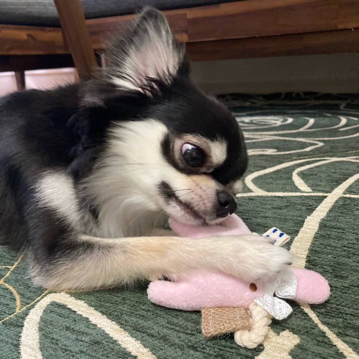 931ccb27 47cc 4e96 8dba 2ee1a8b16516 1633182861985