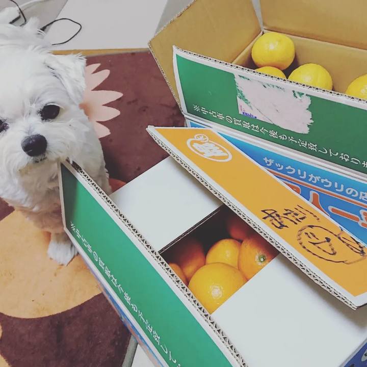 931cdedf 45bc 4afb 9903 acacbee1030f 1646549833709