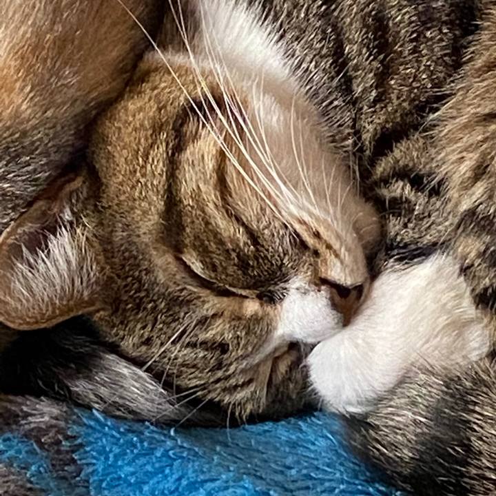 931cf78b 55da 4e54 b688 72be03713e68 1576367648159