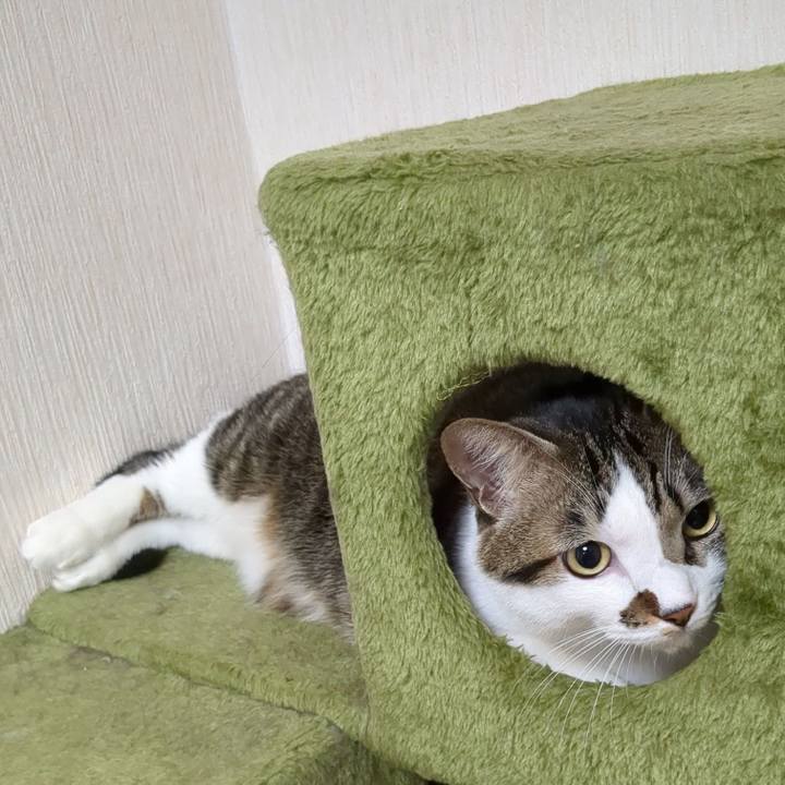 931d581a c8dd 4436 8504 ab47da28e2ed 1667826324289