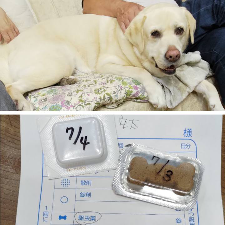 931d59f6 c8ea 422e 9072 25b56389fe9d 1719572403034