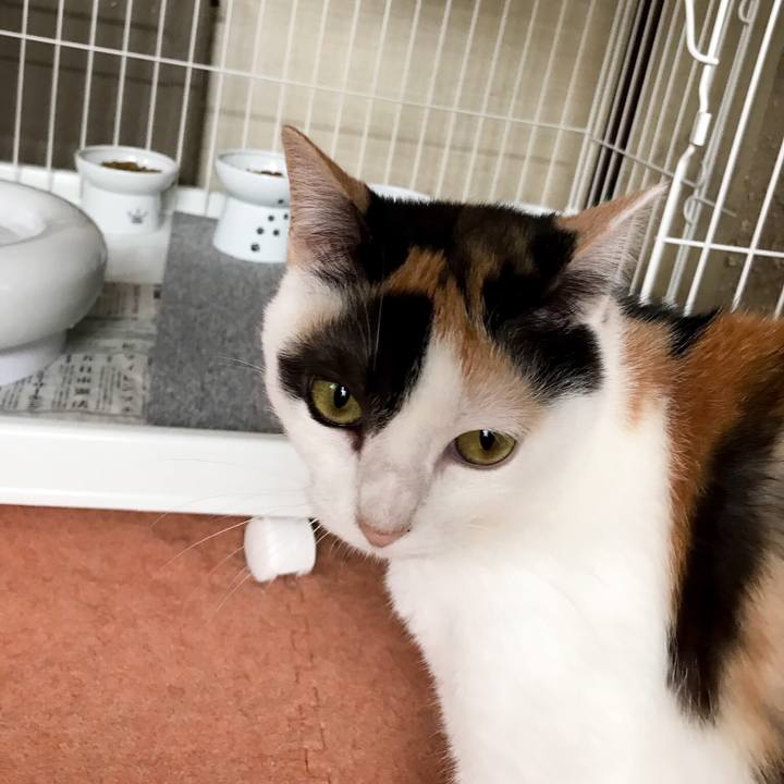 931dcc80 60a7 4969 8949 d7d1aaf4b06e 1530756937772