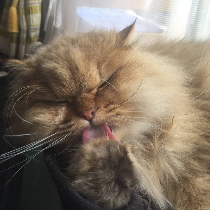 931dd59b 2674 401c b3ae 8d9cbbbf570a 1550805261755