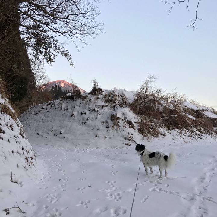 931df74b 4875 4bed af68 fba58c8306ff 1516013791813