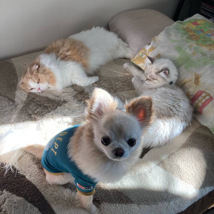 931dfdfd d7bc 494b 9fb7 80045dc9c12f 1672288476264