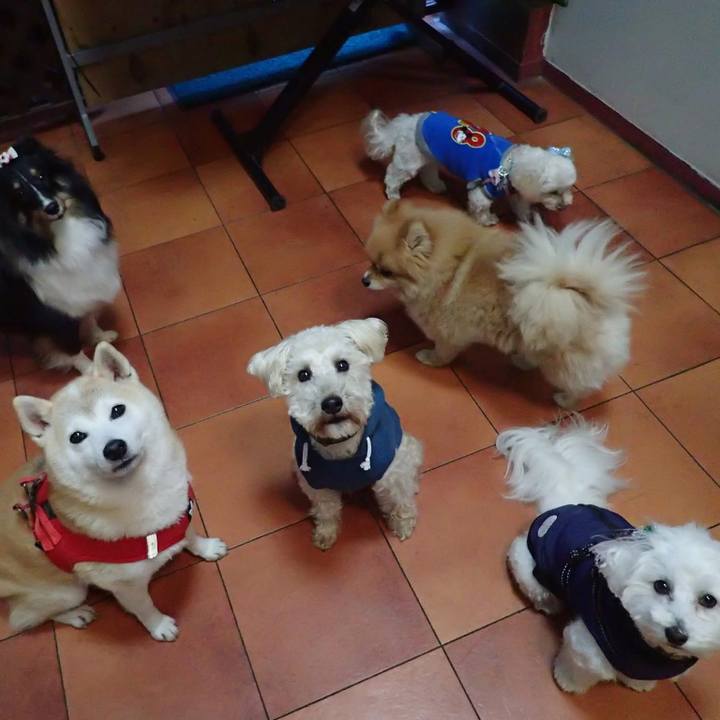 931e0fcf 37c5 4a6e a3f8 38ee01e50f67 1734733304793