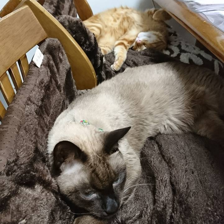 931e4a62 99dc 47ad b2d6 c1a946f601b7 1511945413654