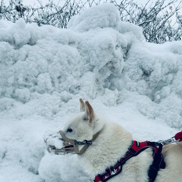 931e70f3 d748 49aa 9a21 669da1eb8e62 1704500671548