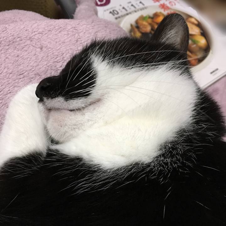 931e81d6 c1e8 4a86 b49d 477f7bdb5c91 1511869518872