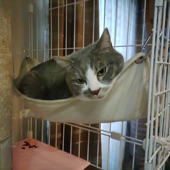 931e8525 d19a 41b7 96a2 33992548ef82 1681723090532