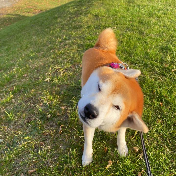 931e874c c29e 41ec 9f17 98a6f7711114 1605575348379