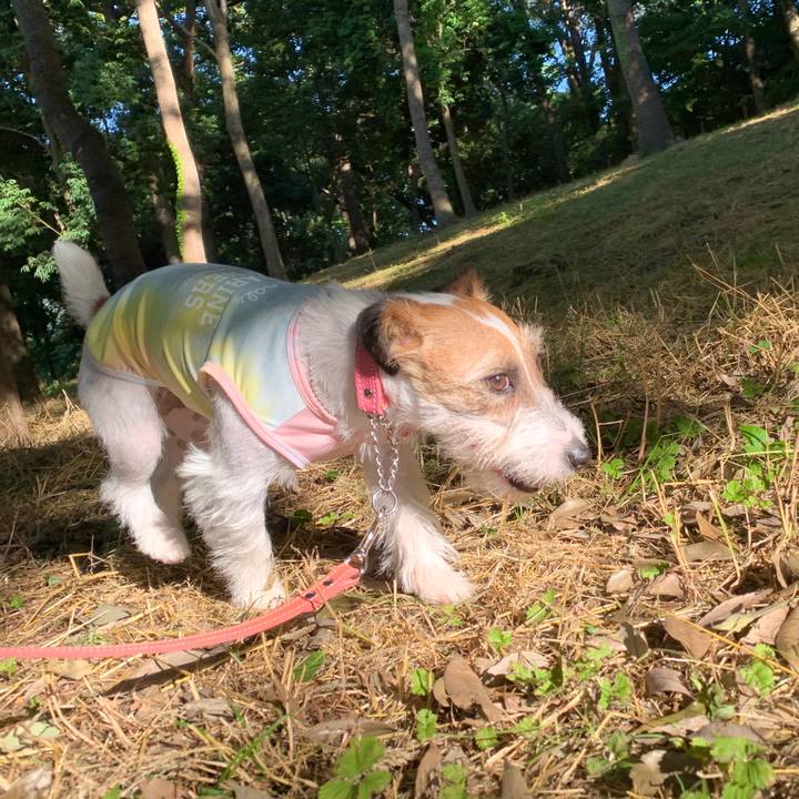 931eab13 6c57 40a6 8d1d c8b649c5a40f 1591780947241