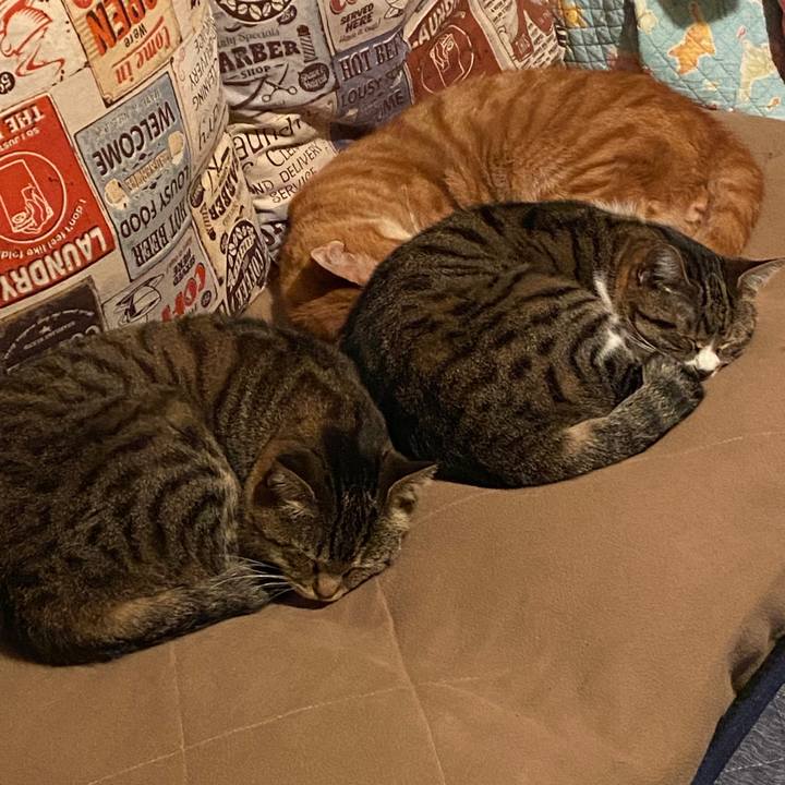 931ec640 72db 43f0 9a13 2dc16eb9ac05 1584562587333