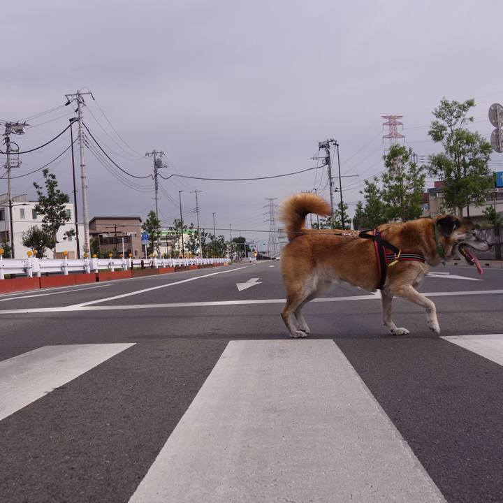 931f097f 77aa 4b19 bd02 11af8fe42a1a 1678328295607