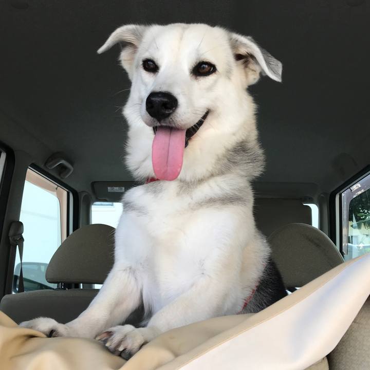 931f37f9 c9e5 44be a988 f18abf8c73a8 1589153481036