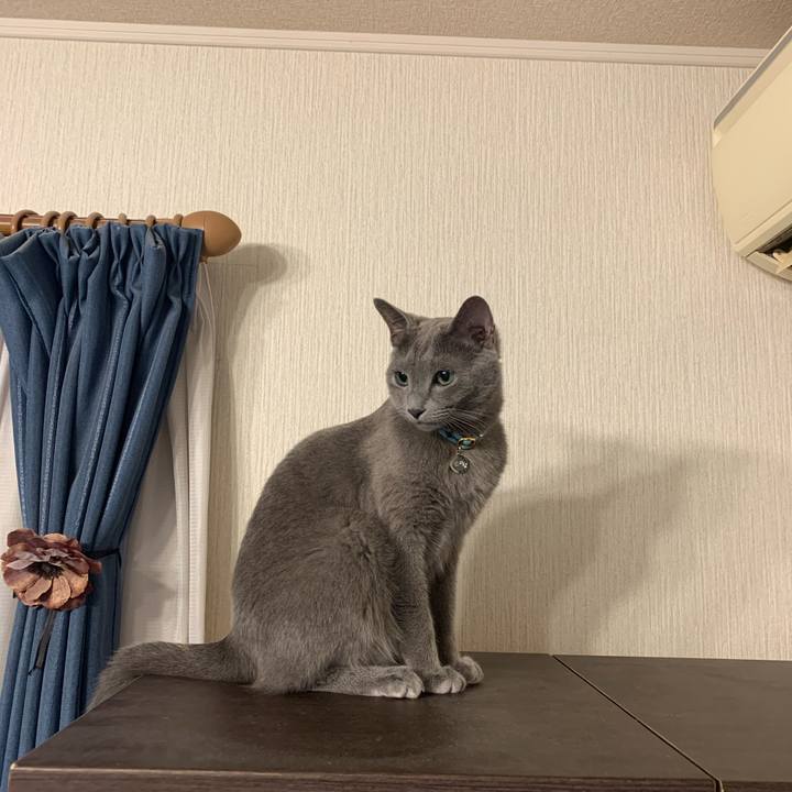 931f5fd7 5fb2 4ece 9451 7c979184fc96 1602196229640