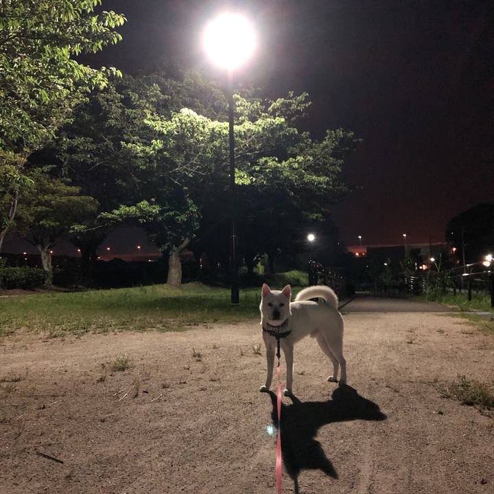 931f80b2 38f7 4d2d 8067 71fb063d2d8b 1564844131934