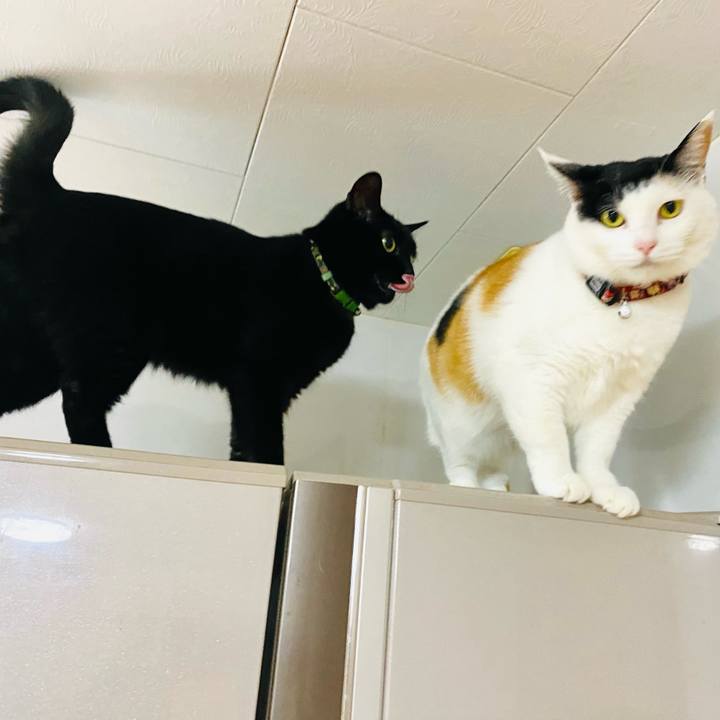 931f8a35 3ab8 48d6 9438 43fef5522fdd 1675030771746