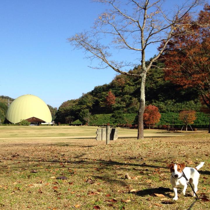 931f99e6 ffc7 4512 8f50 ea3d22ab32ce 1510297545447