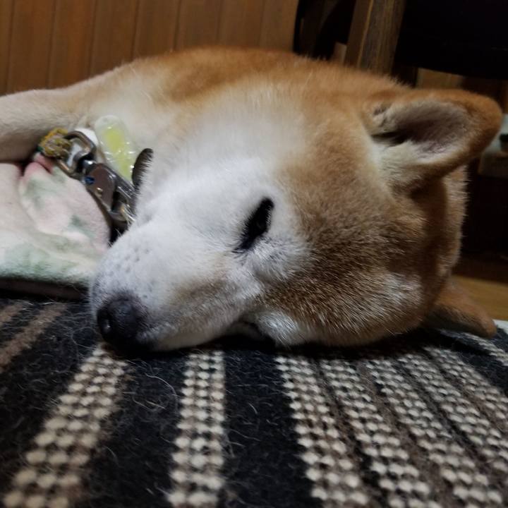 931ff8f5 2e83 42ff 9830 6858ecaa6022 1693649299316