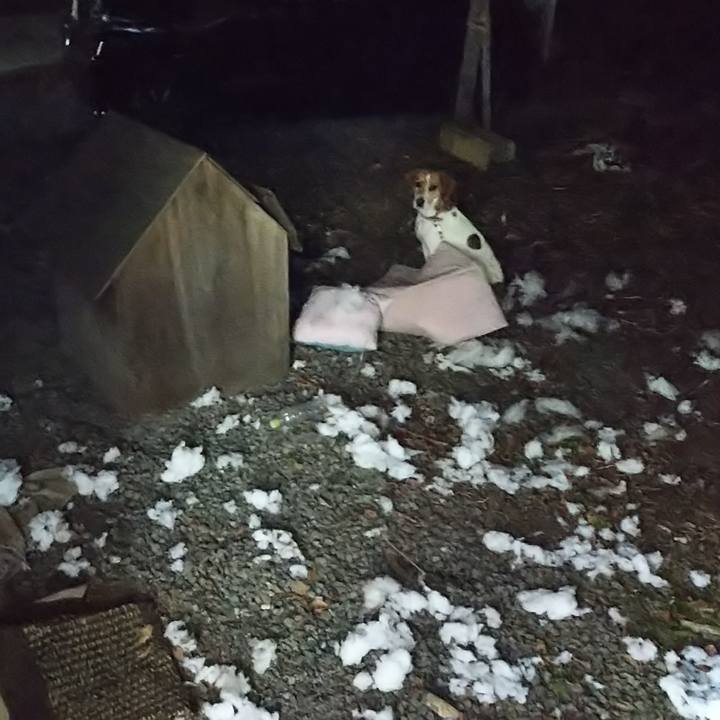 9320310e e6c2 469e 9e7f d8dc64f87dae 1639312252199