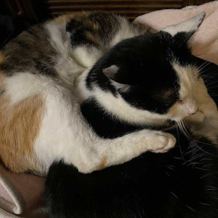 9320412d a3c6 421e a63e a59c00388b58 1637255727919