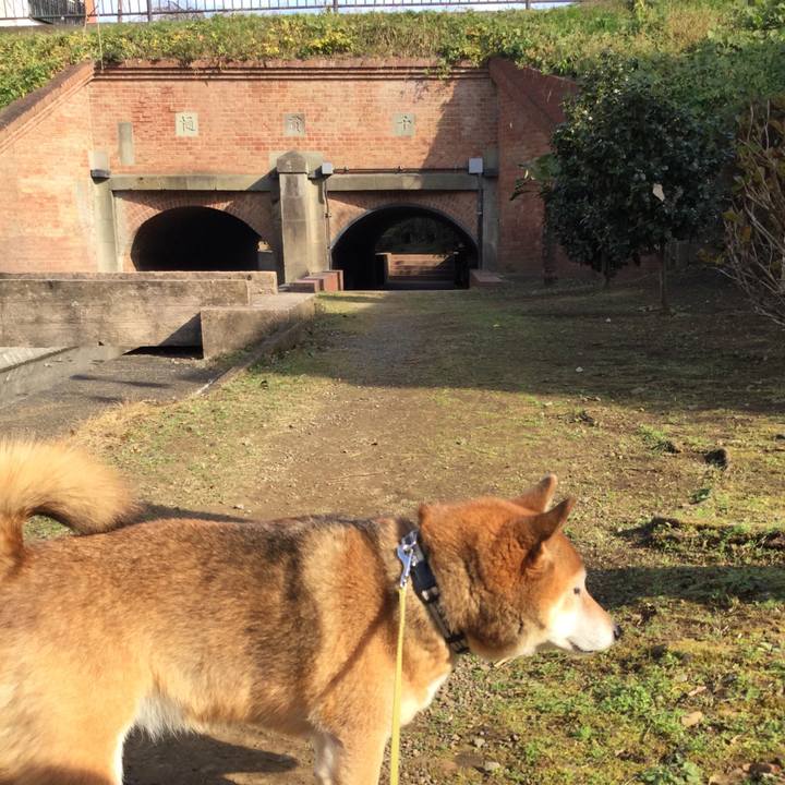 93206b21 48e4 4b7a a8ed af94863f8f05 1607669710343