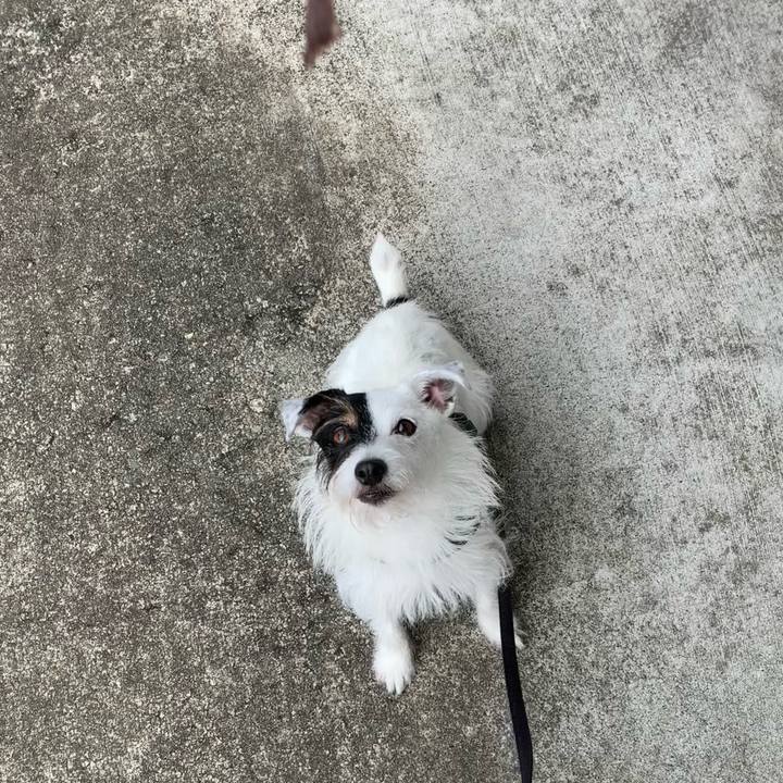 93207bca bbad 439c b935 5ffbb68fb20e 1660345747438