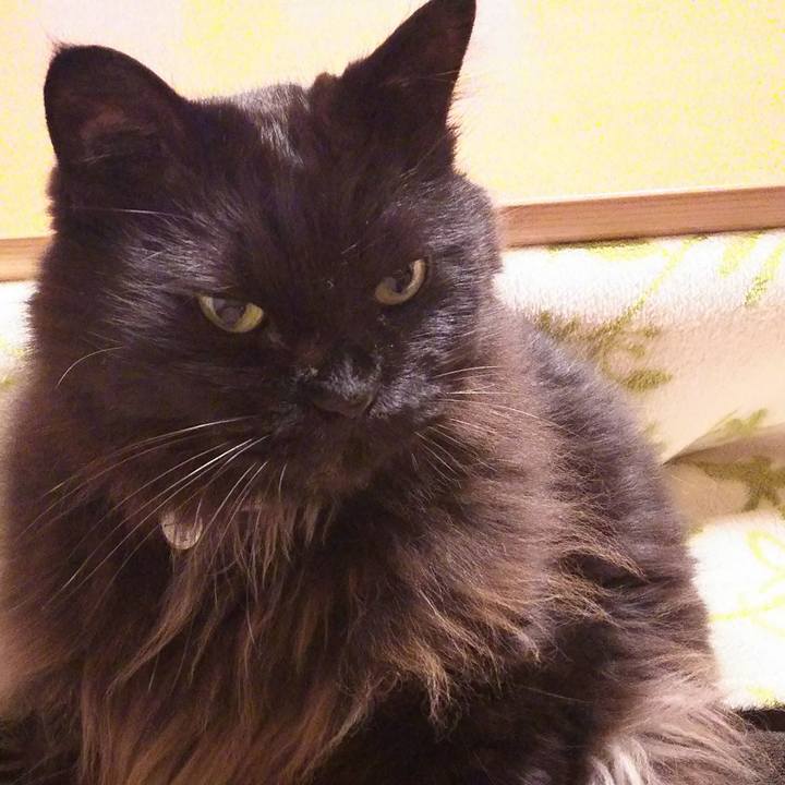 93207d48 d297 43e6 8a26 733cce84f89d 1517393495890