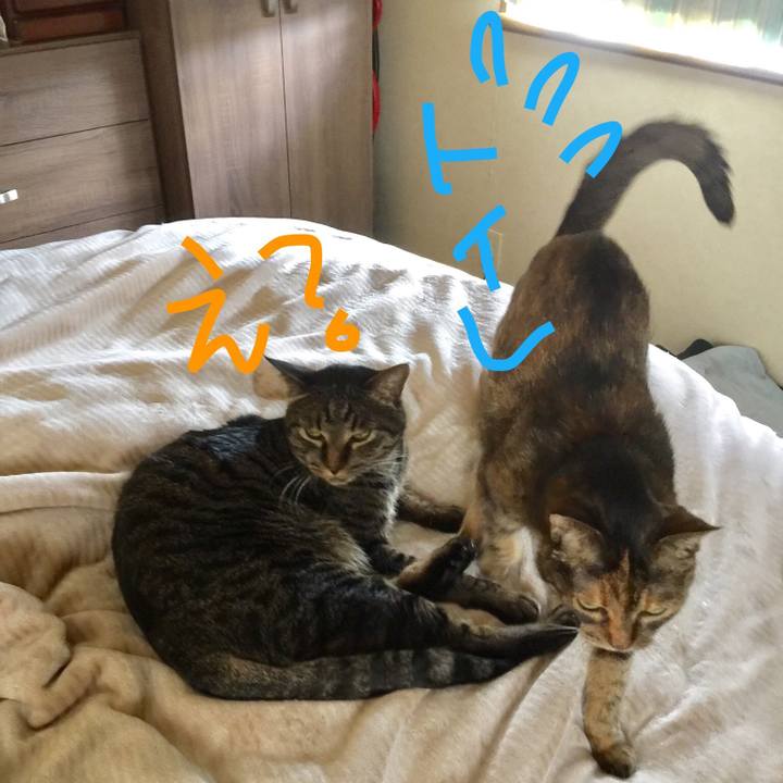 93207df6 d0ef 4b30 adc0 156e740c1b13 1557833292142