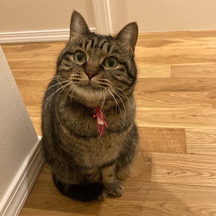 93209f68 793d 4e53 aaab 116f39cdd47d 1639875418411