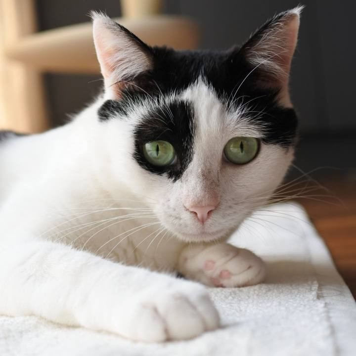 9320b032 2485 4a33 af13 cf06e21a1033 1591282207894