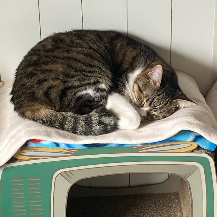 9320e1b2 421c 4a97 ab66 5fc1d29f2094 1639711548853