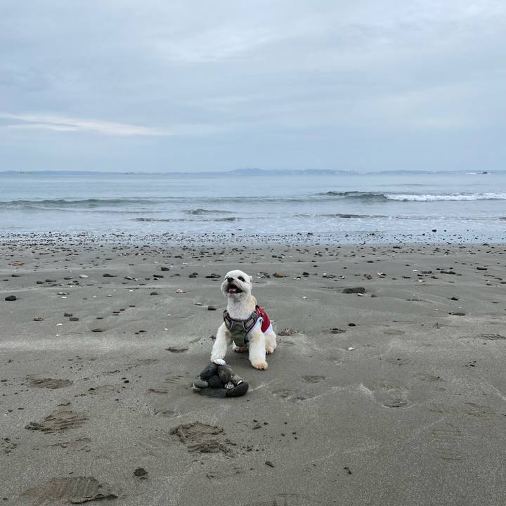 9320e784 0006 404f 93c5 843a4a8ab9cf 1650191332544