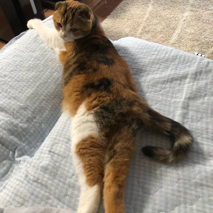 9321085e 913c 4846 8e7b eaab004a1973 1563691062691