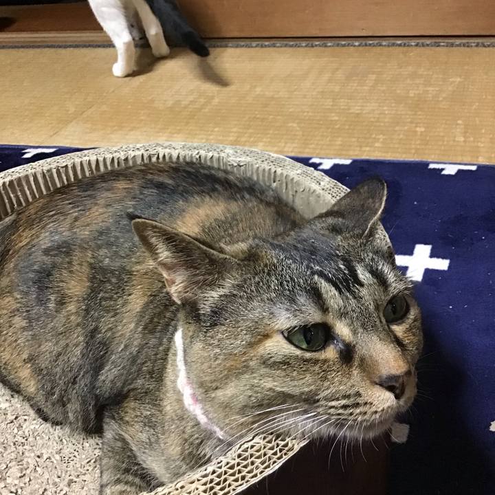 932112c3 542e 45d0 a67b 13d054178064 1717415126521