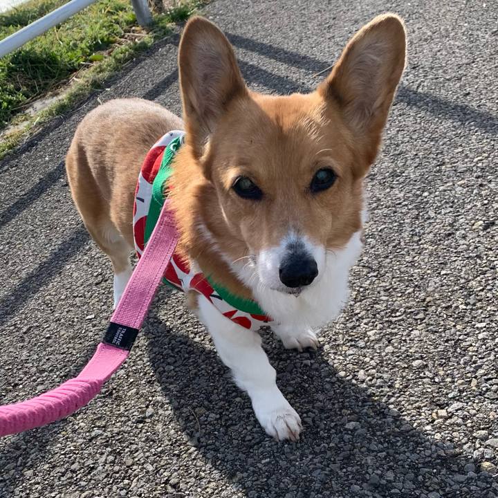 93214750 59db 4c24 84ec d2738eee76c6 1707467132257