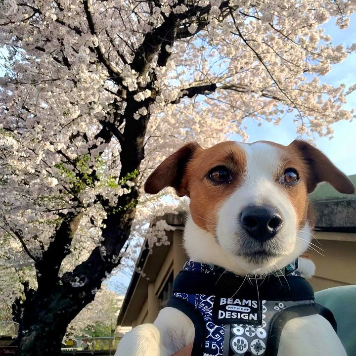 932147ea 5f07 4d83 a678 dbd5d64e04bb 1712485904806