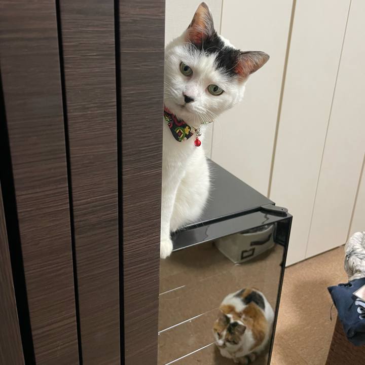 93214809 c02a 4612 a2d0 e079d75c4145 1642771035588