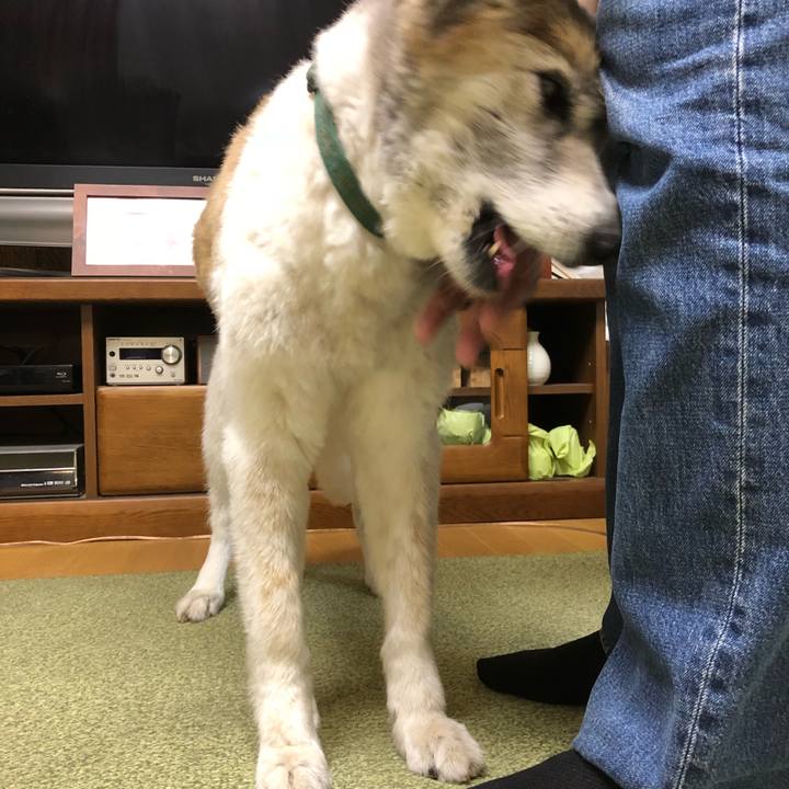 9321485f 14ac 4ae8 9e4a 1dbb1224fded 1533453824284