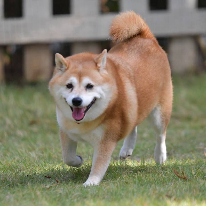 932148d9 316a 47bf b29a 3bfe5a2566c5 1634389990983