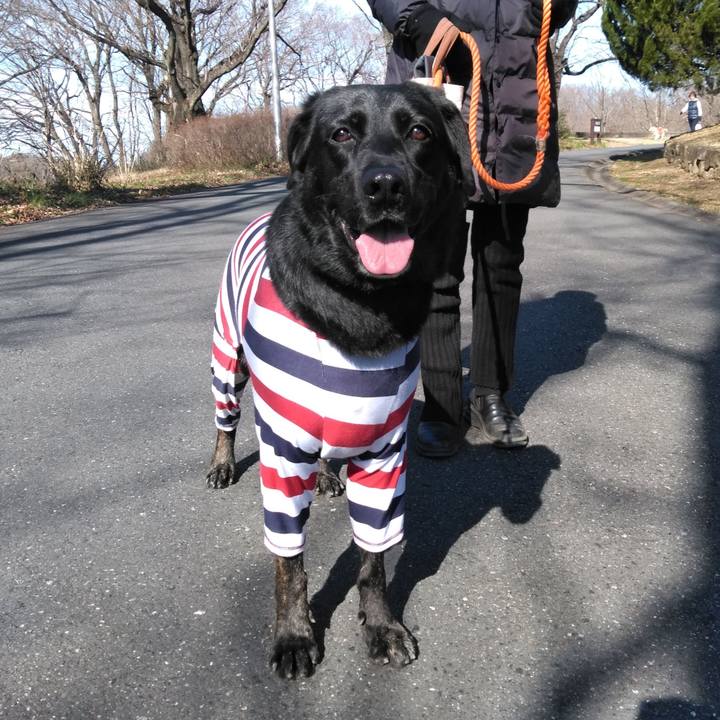 93216a27 c91e 430e 8fc7 22da91ad3687 1580617622587