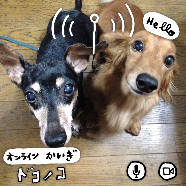 93219443 2dc4 4b27 ac69 9a97d8f8f10a 1590713214346