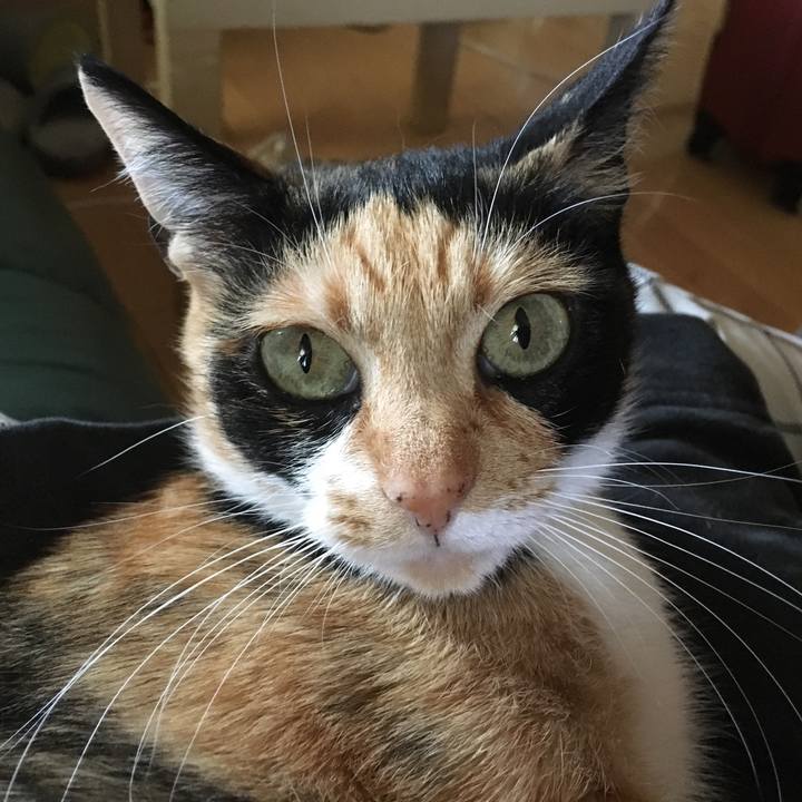 9321abc3 a39a 428c 99ab a88401d0d7fc 1523339187969