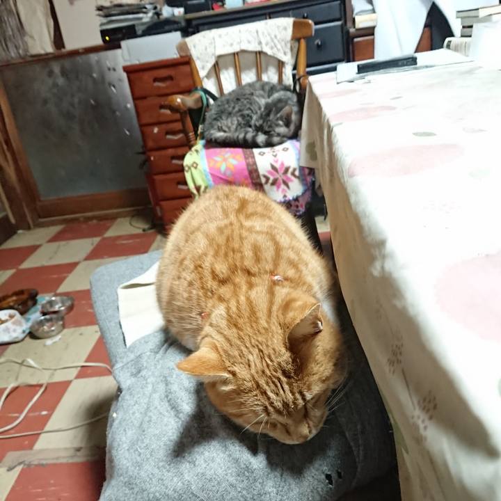 9321ad26 04c4 4f3e 9bd1 15ee21ef3bb7 1577687852196