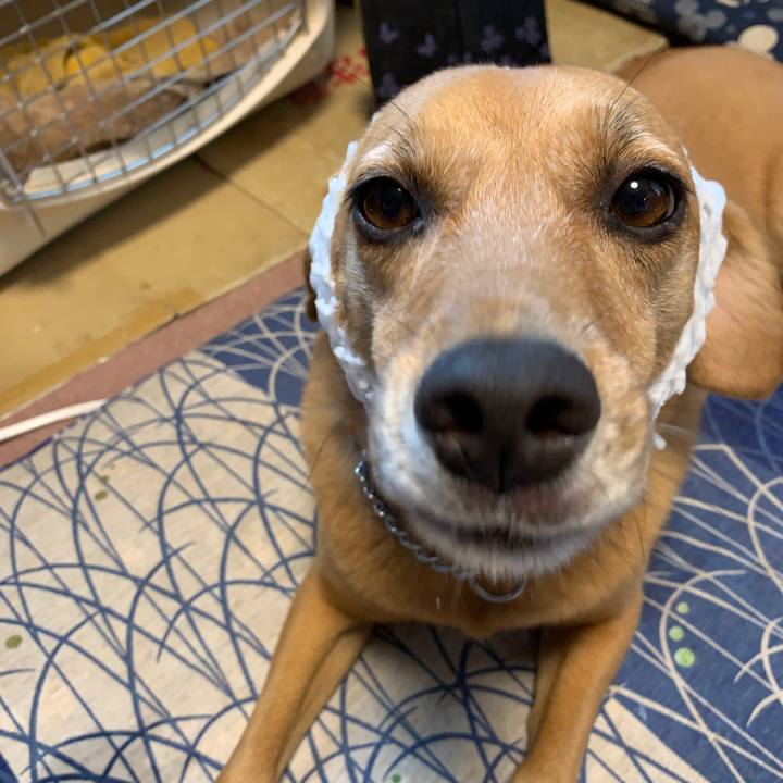 9321af74 d91b 4060 8d90 6ff042610bef 1568613959321